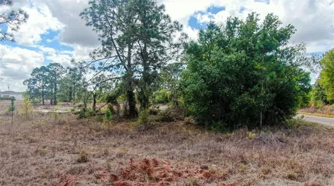 841 Dante Avenue S Lehigh Acres FL 33974