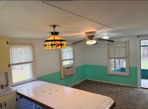 1710 Northwest 29th Road Lake Panasoffkee FL 33538