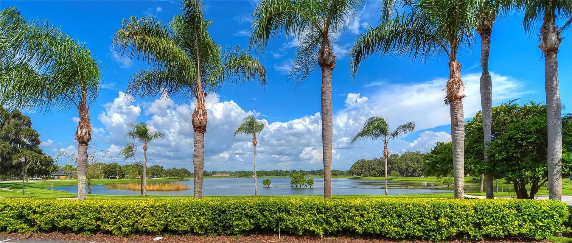 2963 Hickory Grove Drive Valrico FL 33596