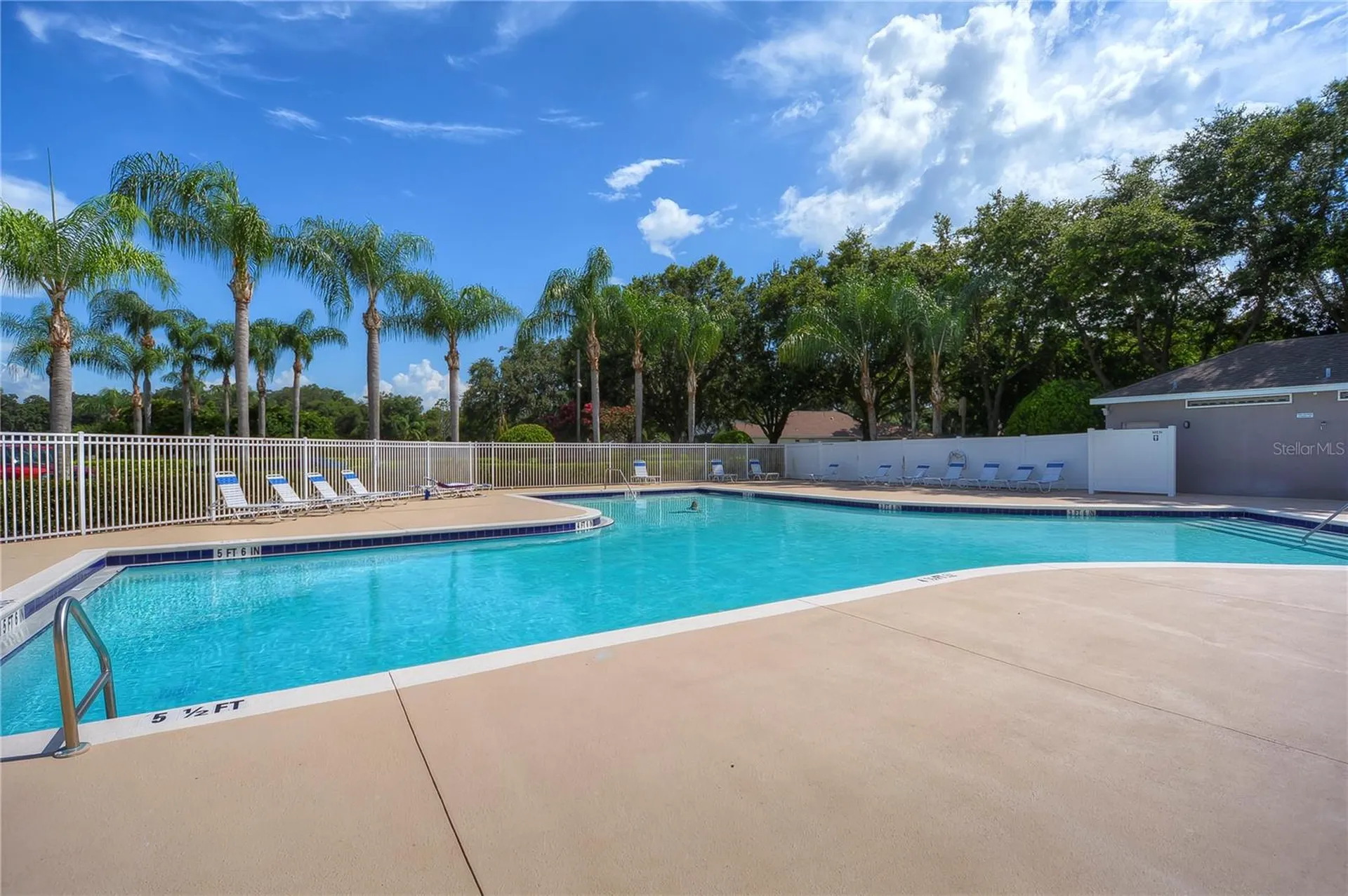2963 Hickory Grove Drive Valrico FL 33596