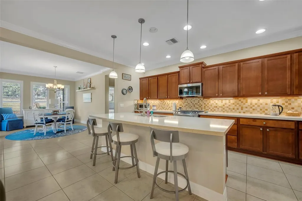 115 Salt Marsh Lane Groveland FL 34736