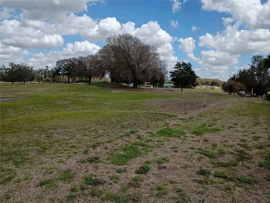 13646 SW 115th Avenue Dunnellon FL 34432