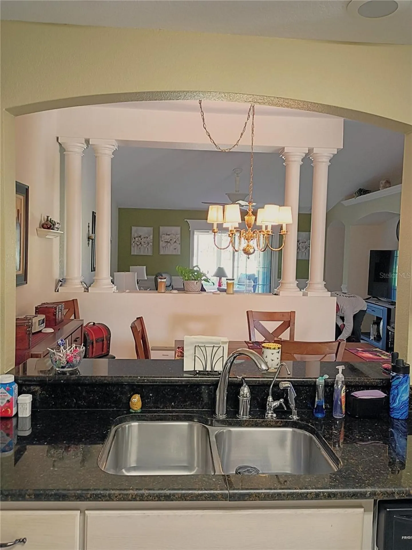 13646 SW 115th Avenue Dunnellon FL 34432