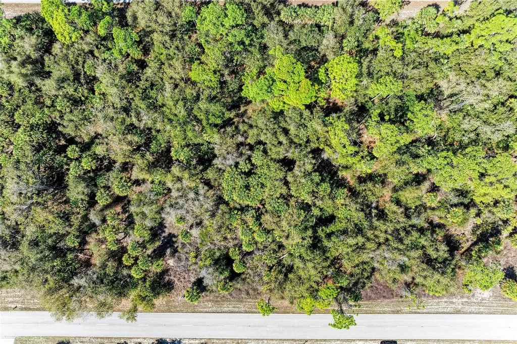 3115 Como Street Port Charlotte FL 33948
