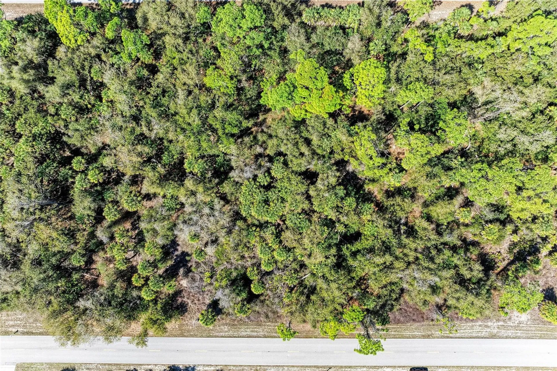 3115 Como Street Port Charlotte FL 33948