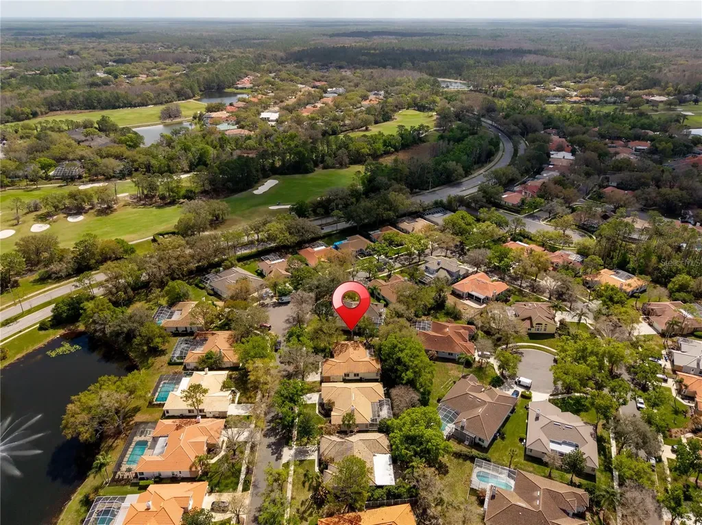 17918 Holly Brook Drive Tampa FL 33647
