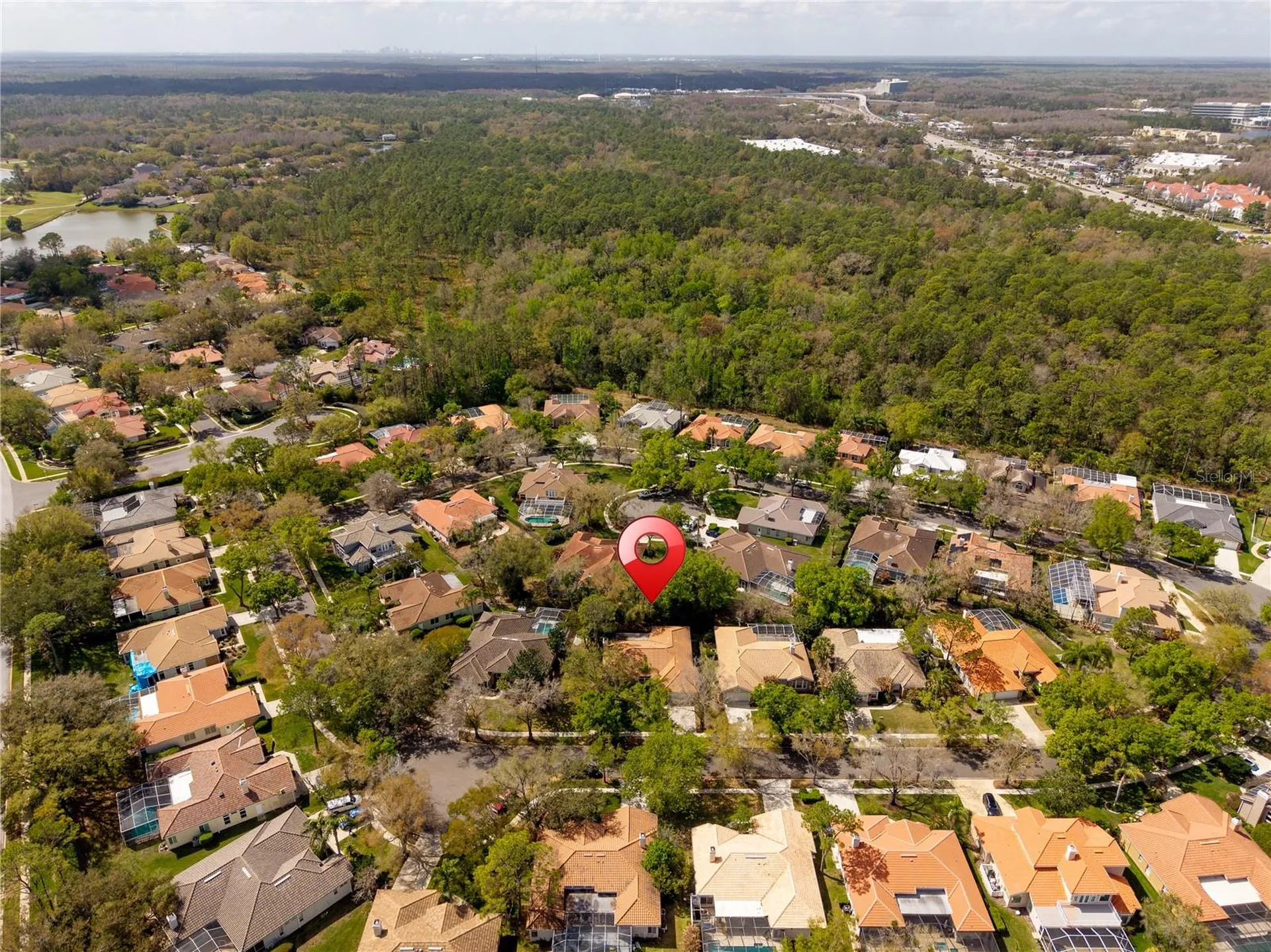 17918 Holly Brook Drive Tampa FL 33647