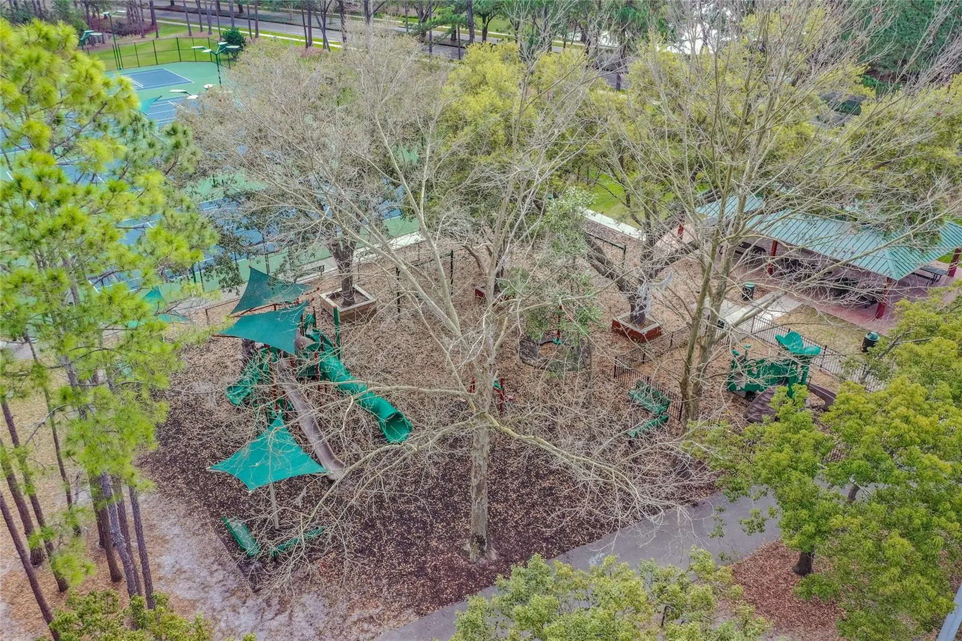 17918 Holly Brook Drive Tampa FL 33647