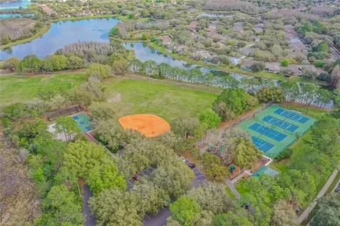 17918 Holly Brook Drive Tampa FL 33647