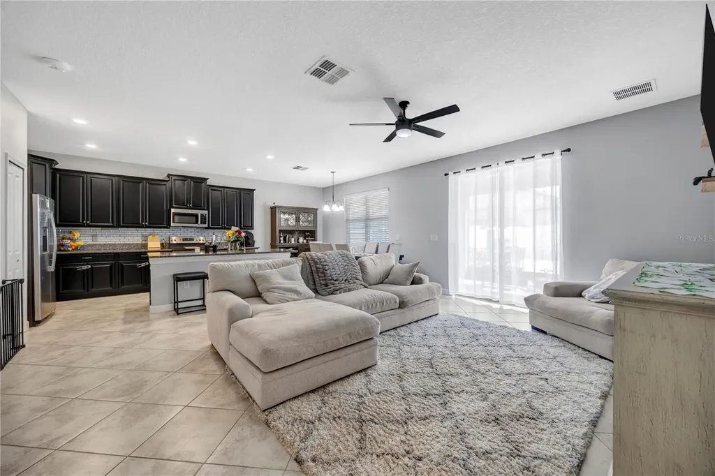 13223 Satin Lily Drive Riverview FL 33579