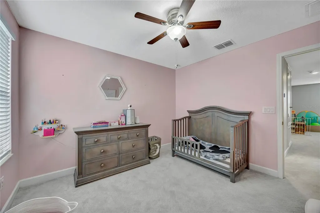 13223 Satin Lily Drive Riverview FL 33579