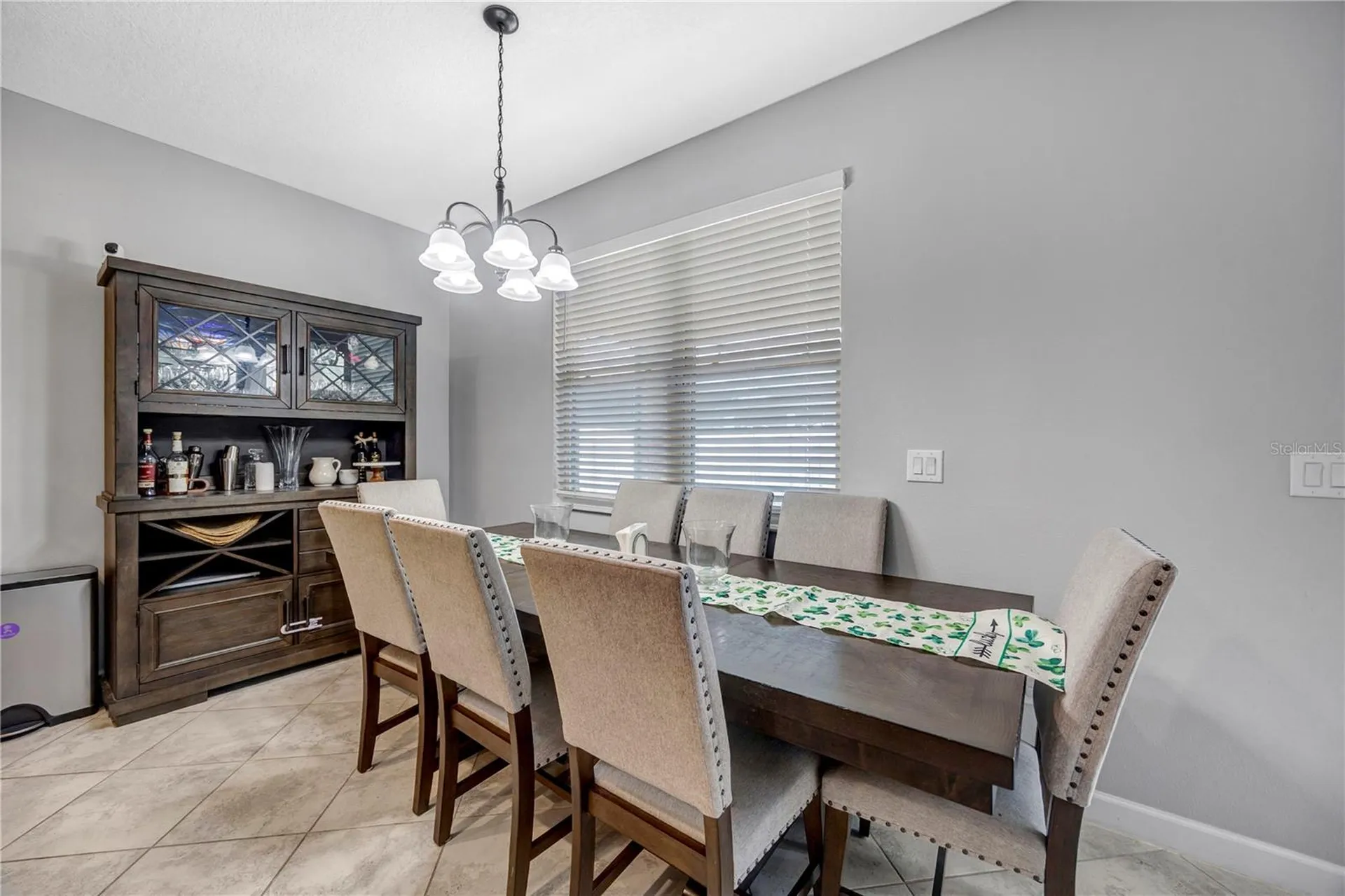 13223 Satin Lily Drive Riverview FL 33579