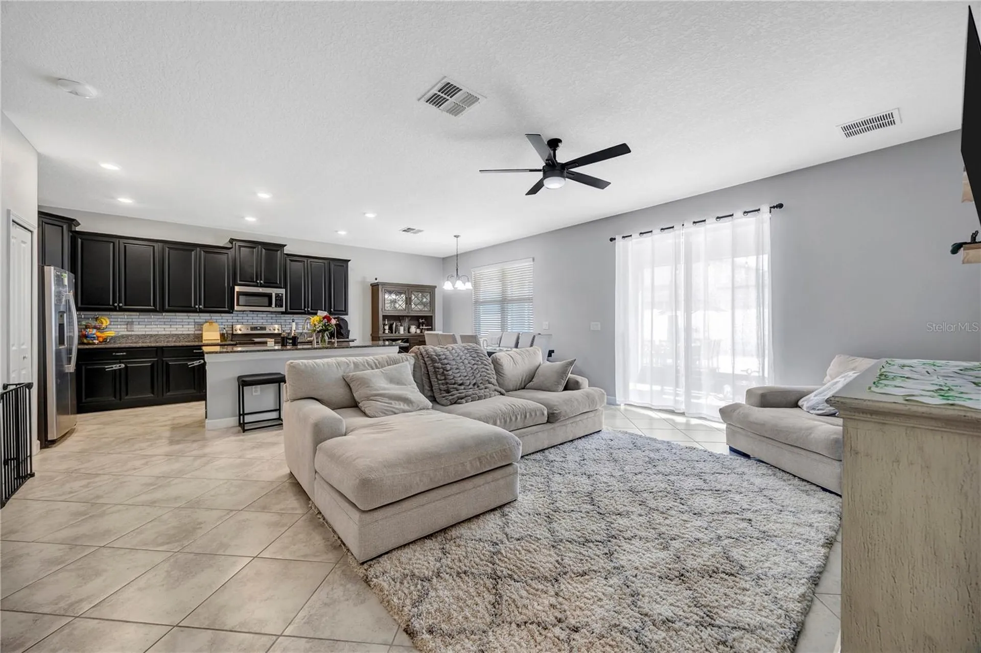 13223 Satin Lily Drive Riverview FL 33579