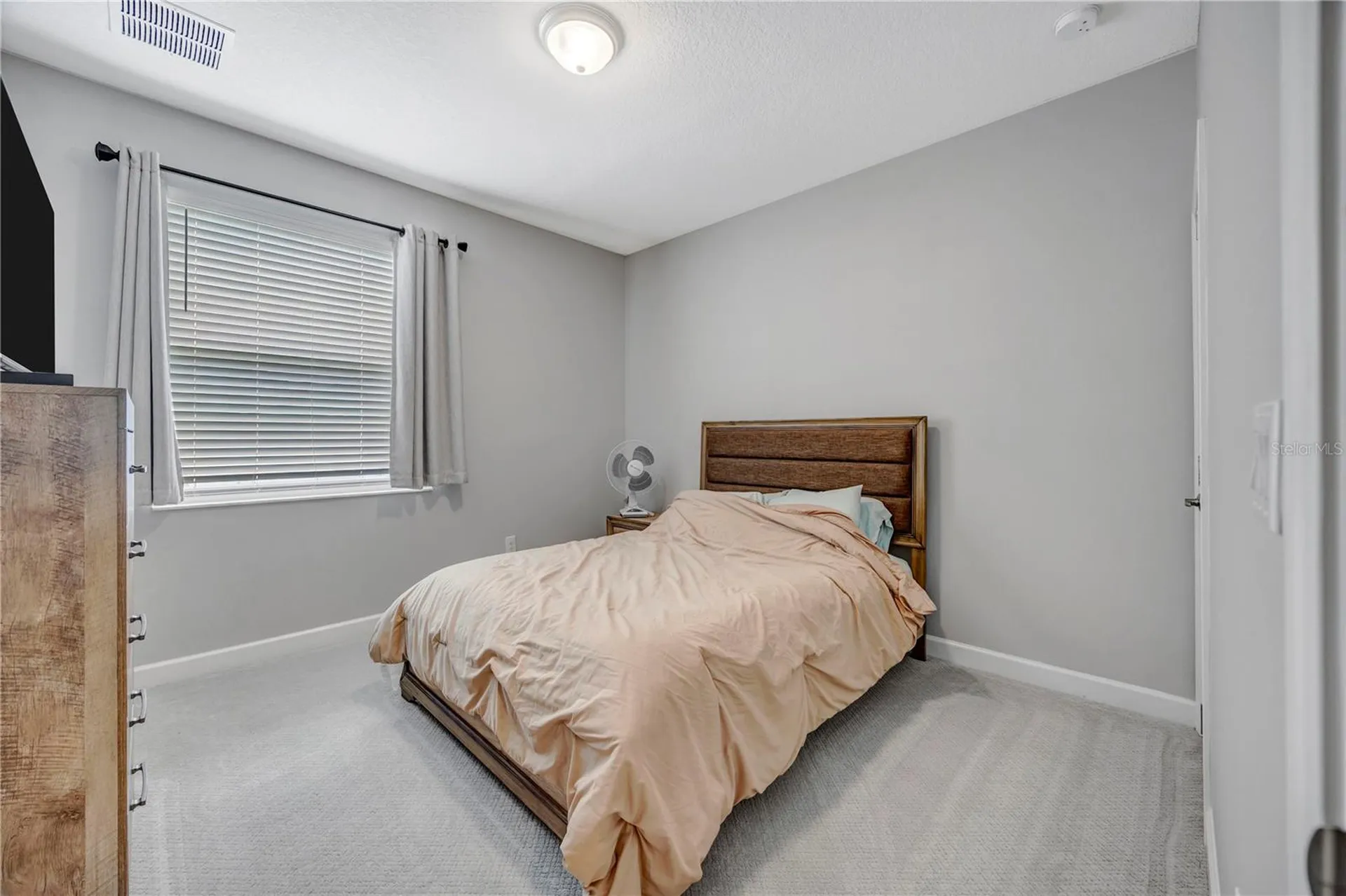 13223 Satin Lily Drive Riverview FL 33579