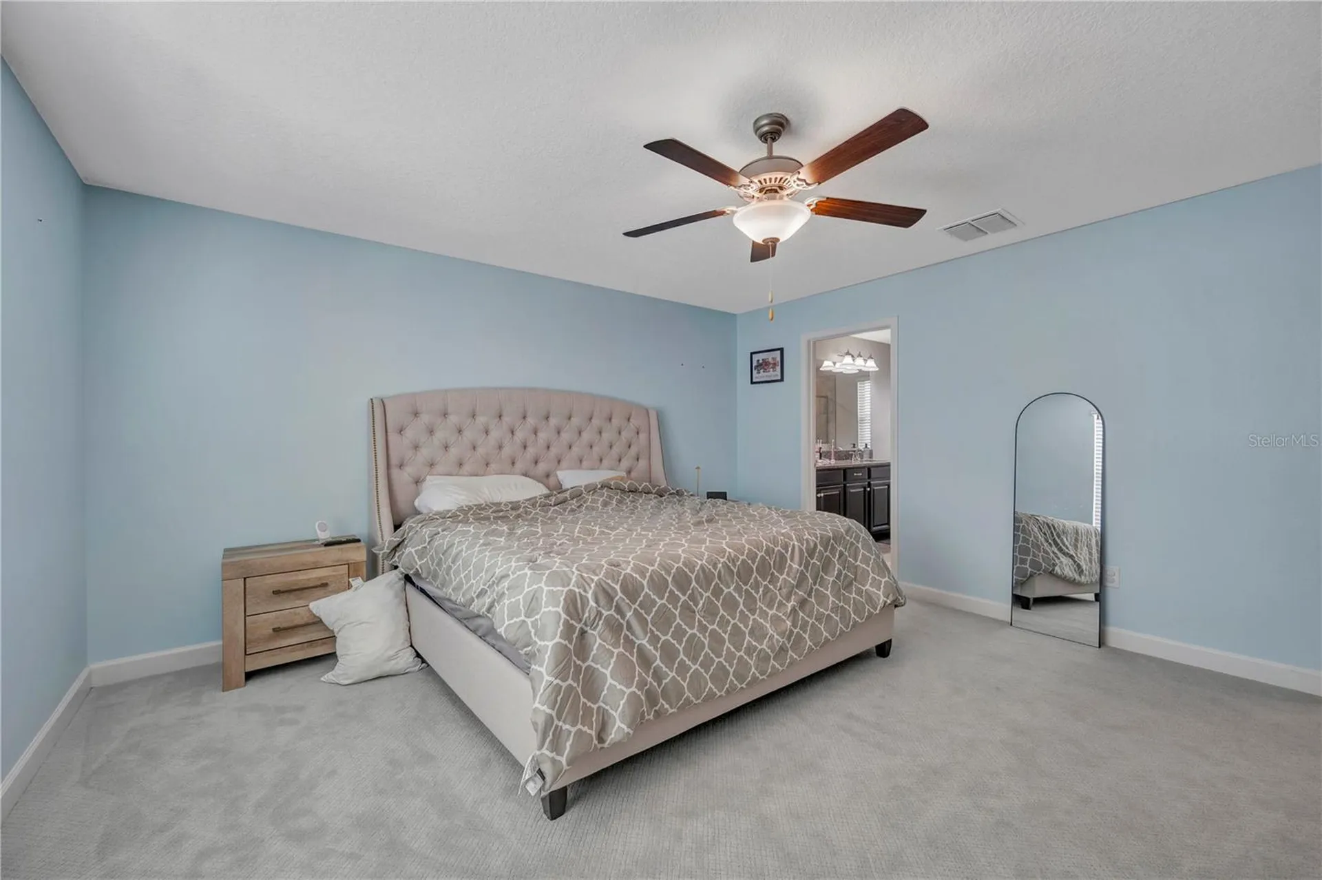 13223 Satin Lily Drive Riverview FL 33579