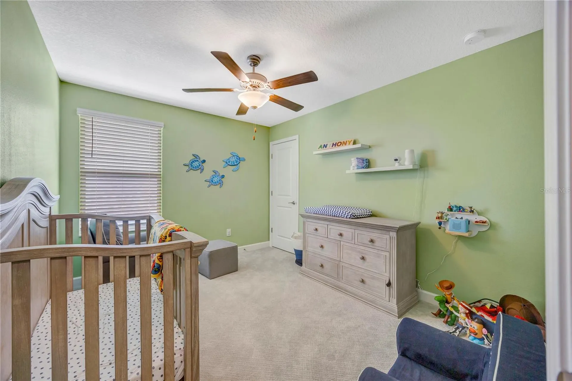 13223 Satin Lily Drive Riverview FL 33579