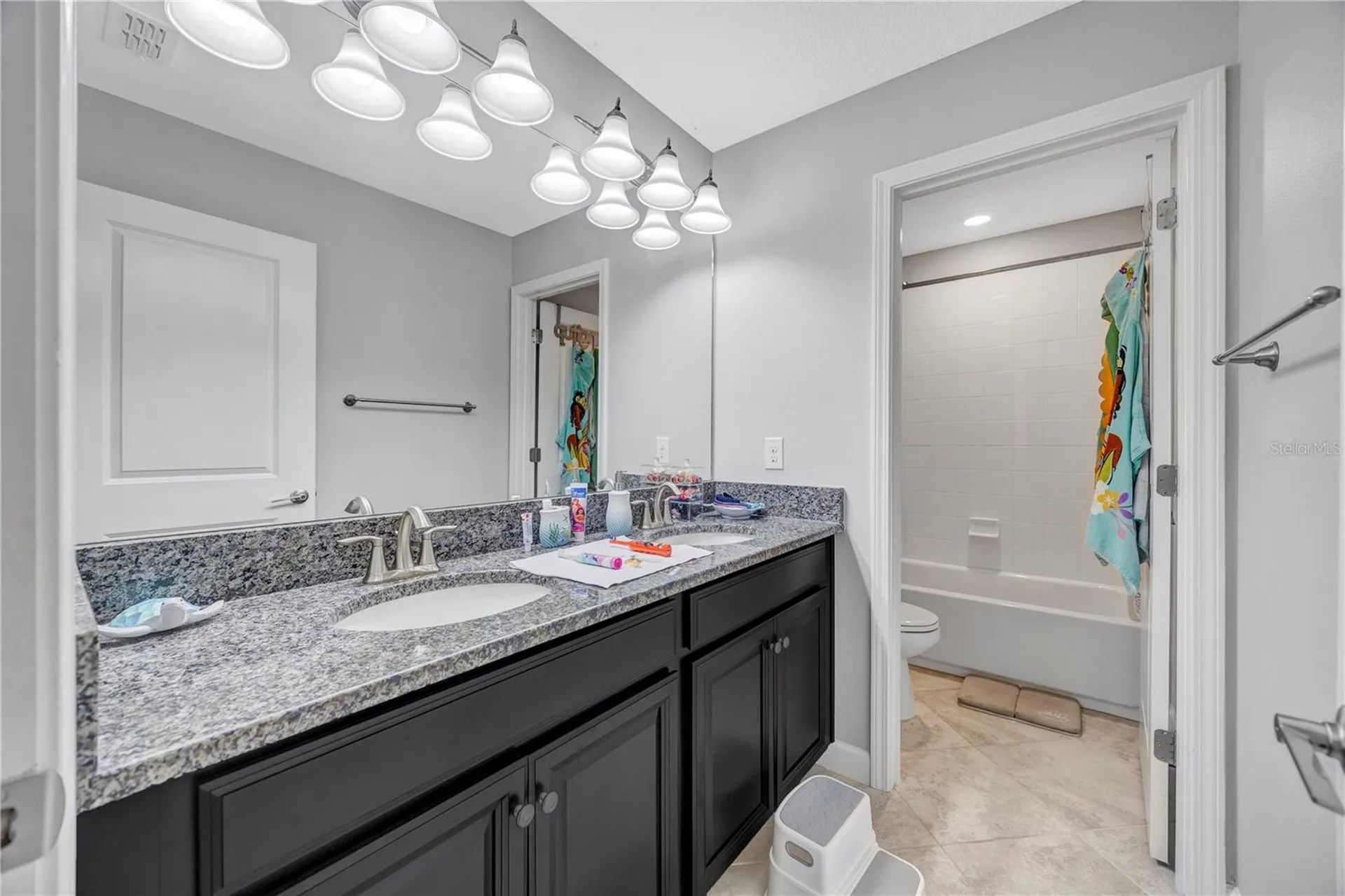 13223 Satin Lily Drive Riverview FL 33579