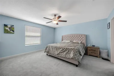 13223 Satin Lily Drive Riverview FL 33579