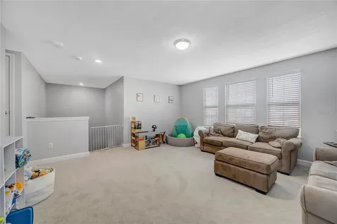 13223 Satin Lily Drive Riverview FL 33579