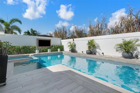 313 Camino Los Cedros Dorado PR 00646
