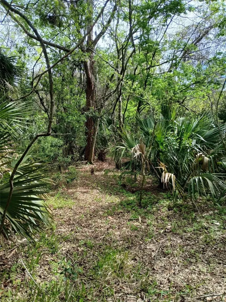 E Hubbard Avenue Deland FL 32724