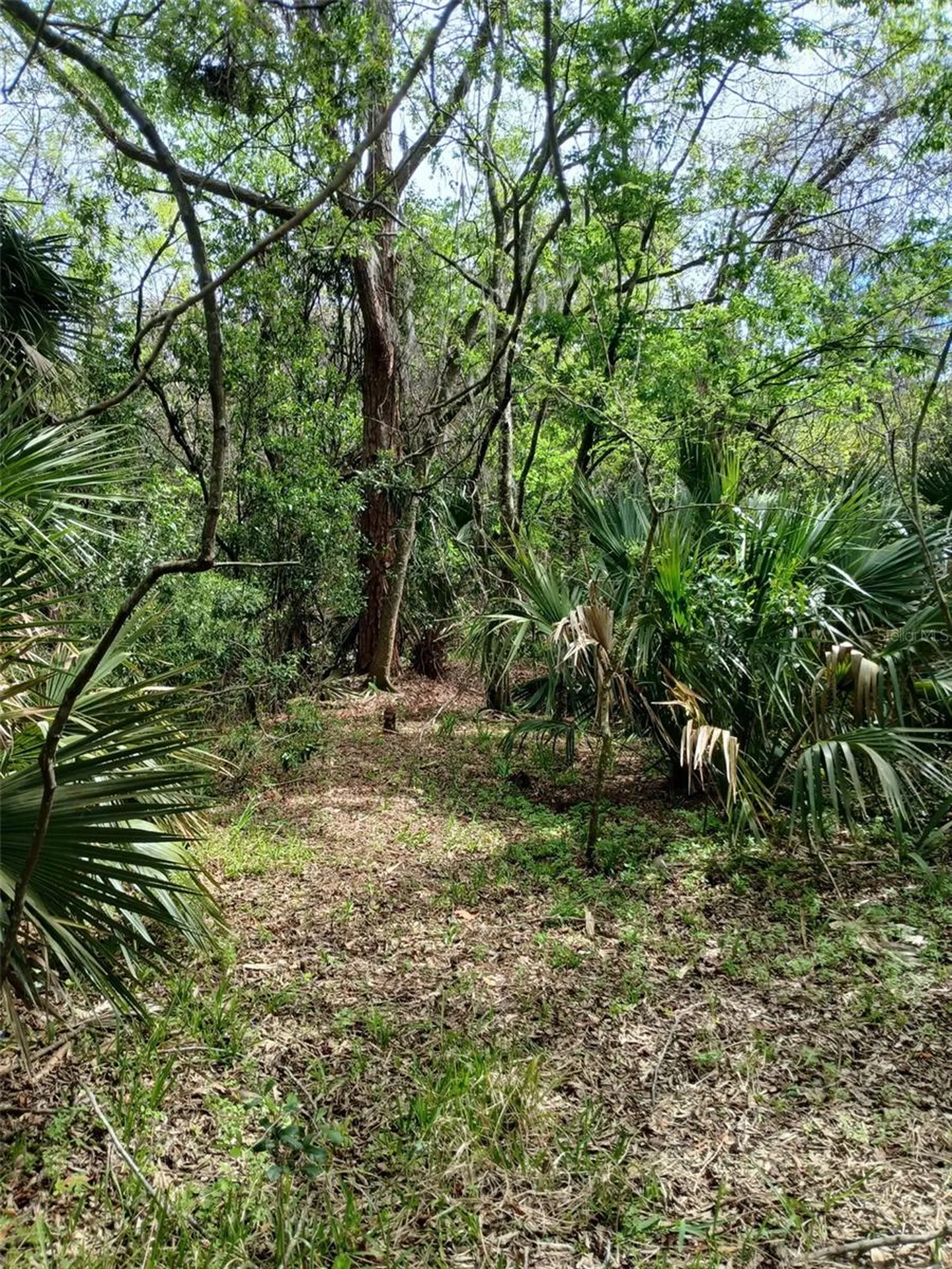 E Hubbard Avenue Deland FL 32724