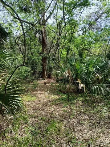 E Hubbard Avenue Deland FL 32724