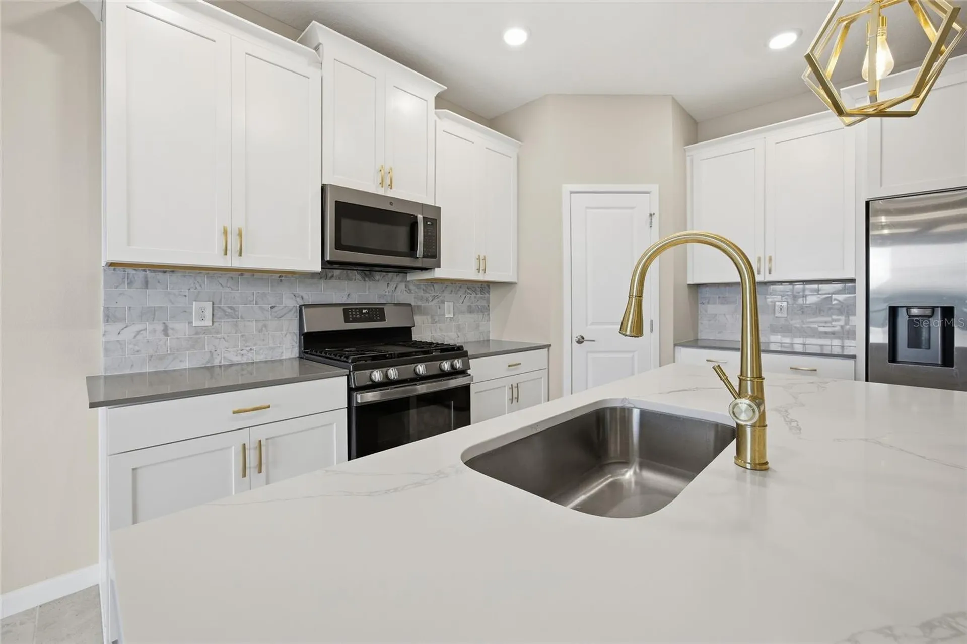 1131 Dora Parc Lane Mount Dora FL 32757