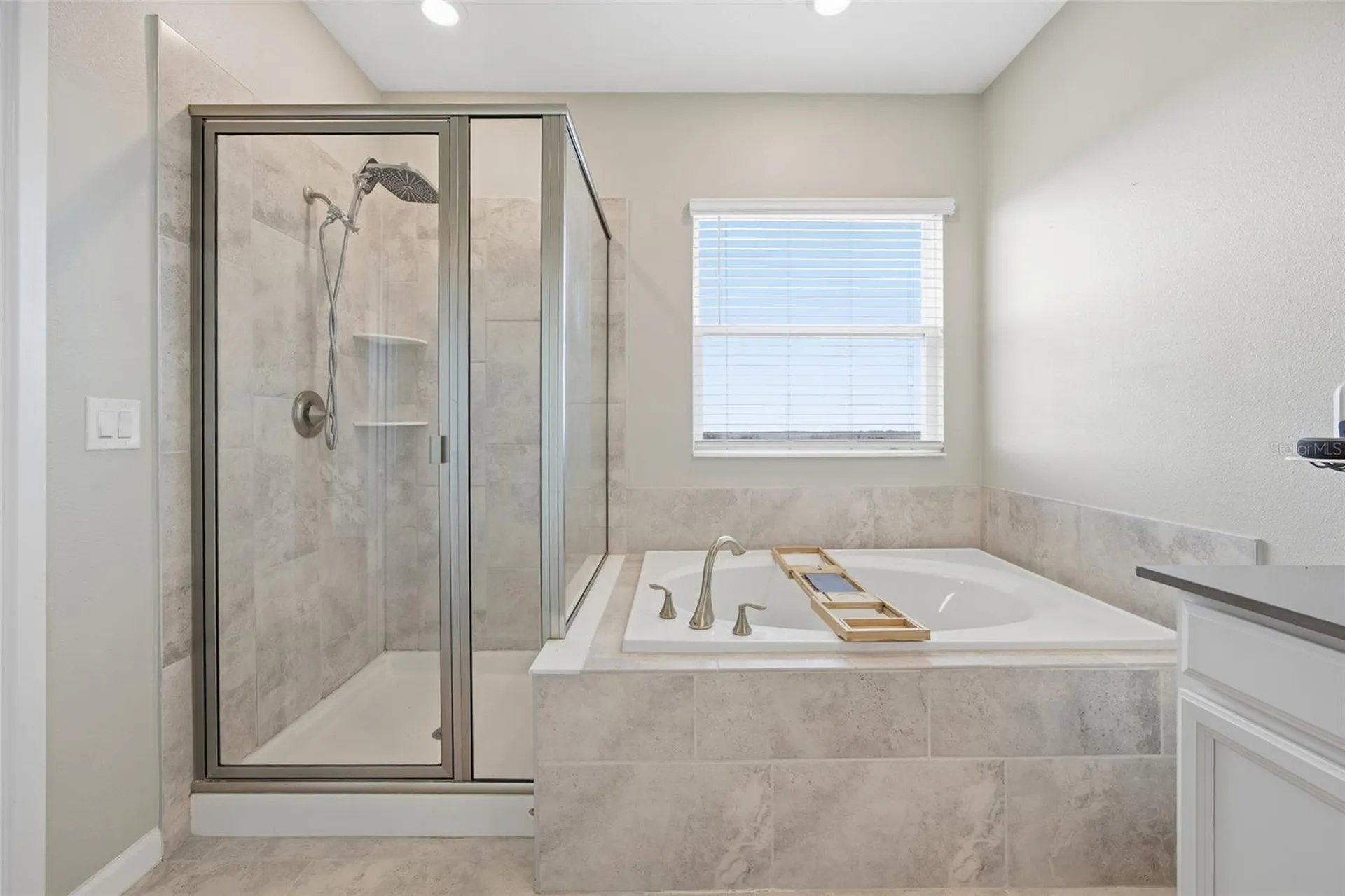 1131 Dora Parc Lane Mount Dora FL 32757