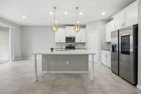 1131 Dora Parc Lane Mount Dora FL 32757