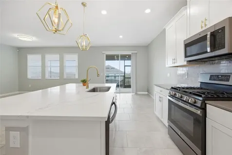 1131 Dora Parc Lane Mount Dora FL 32757