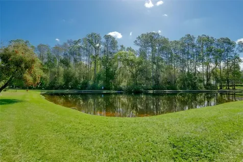 13106 Royal George Avenue Odessa FL 33556