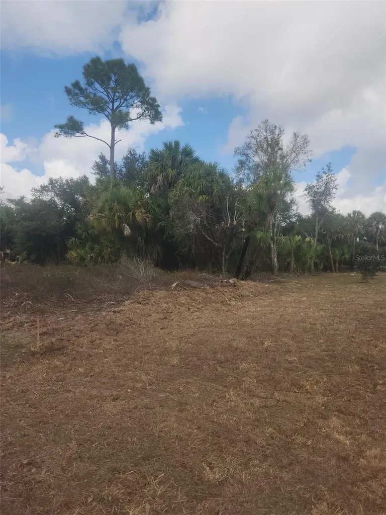 S San Mateo Drive North Port FL 34286