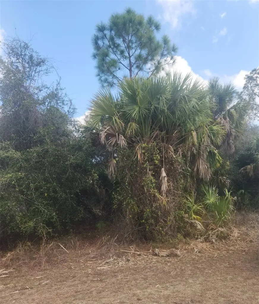 S San Mateo Drive North Port FL 34286