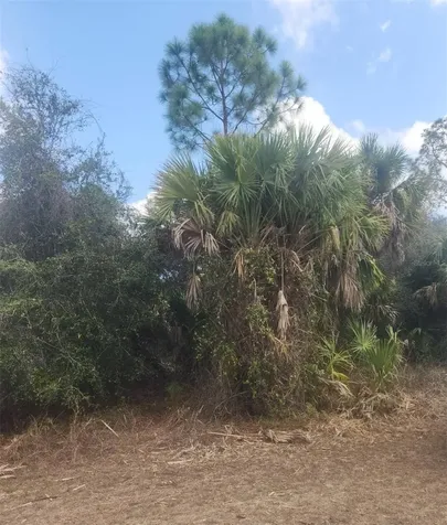 S San Mateo Drive North Port FL 34286