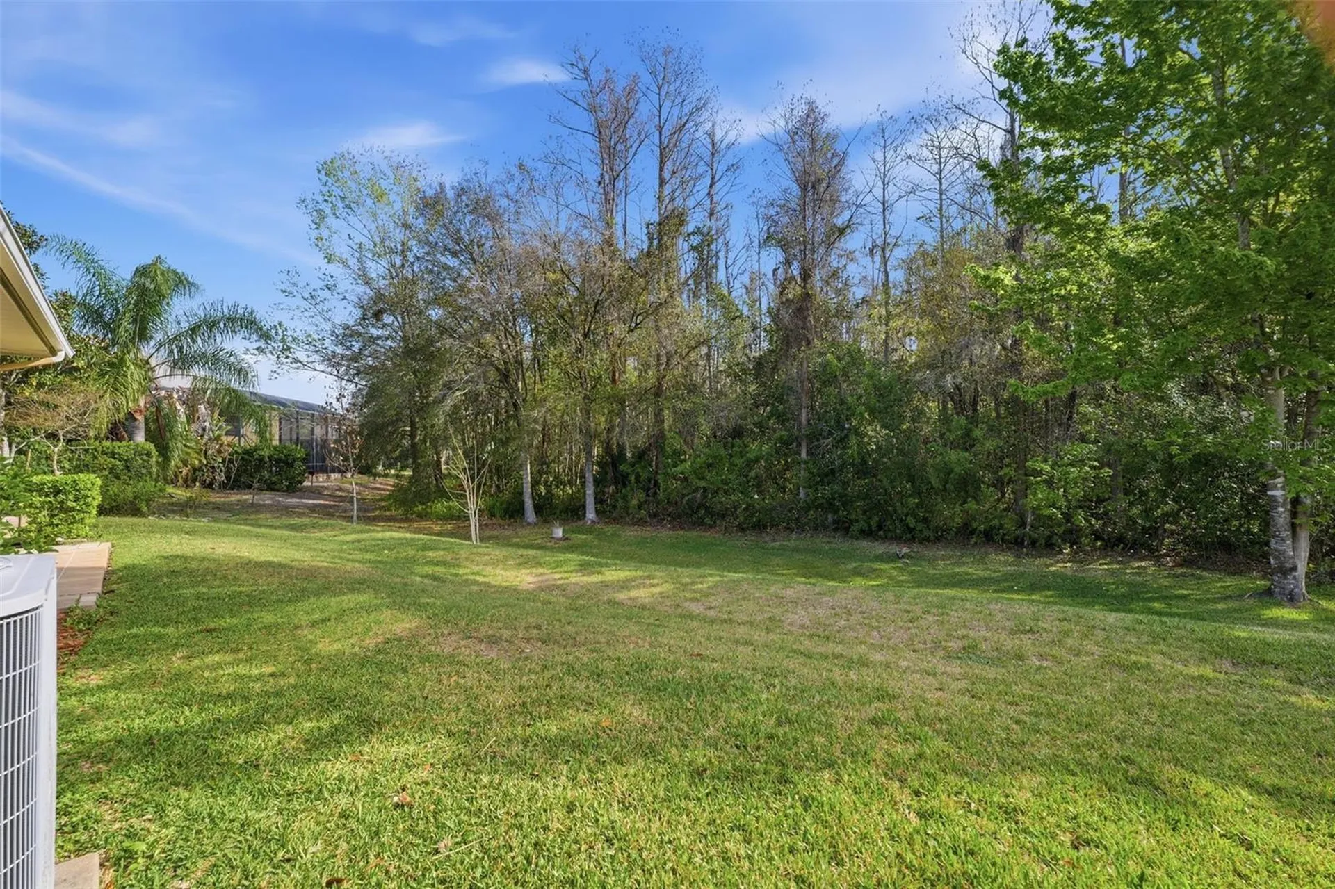 14834 Man O War Drive Odessa FL 33556