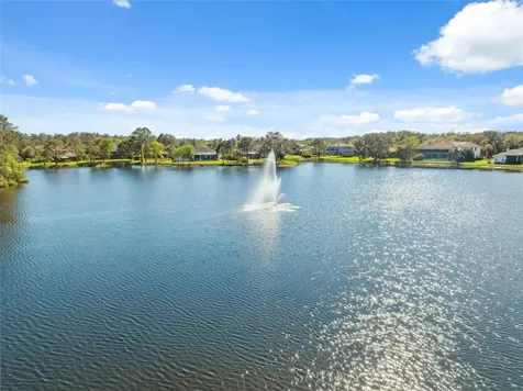 14834 Man O War Drive Odessa FL 33556