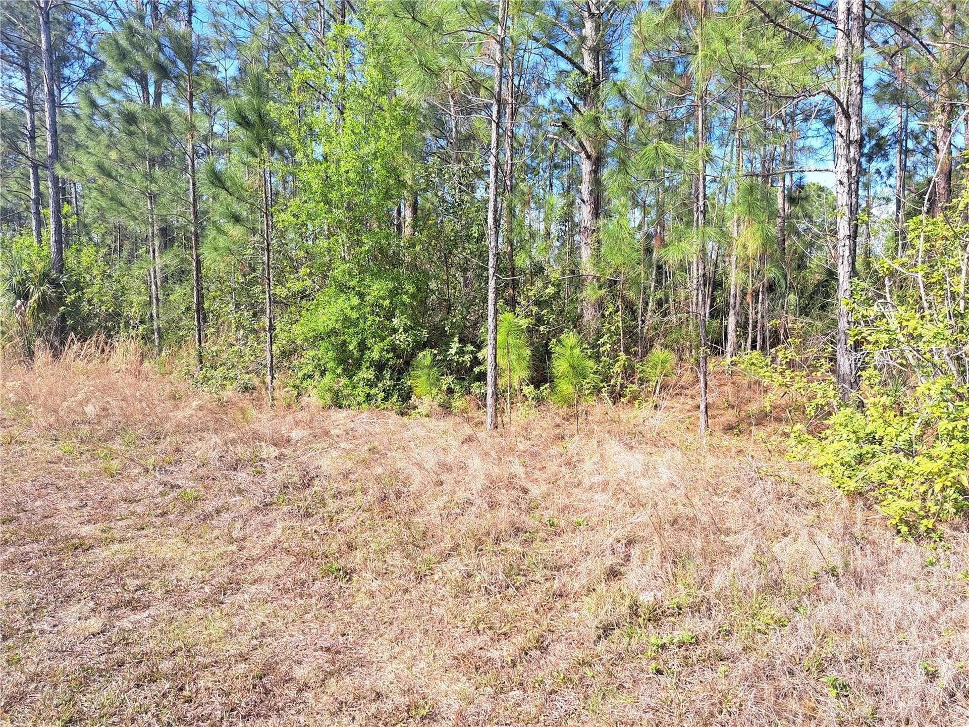 919 El Dorado Drive Indian Lake Estates FL 33855