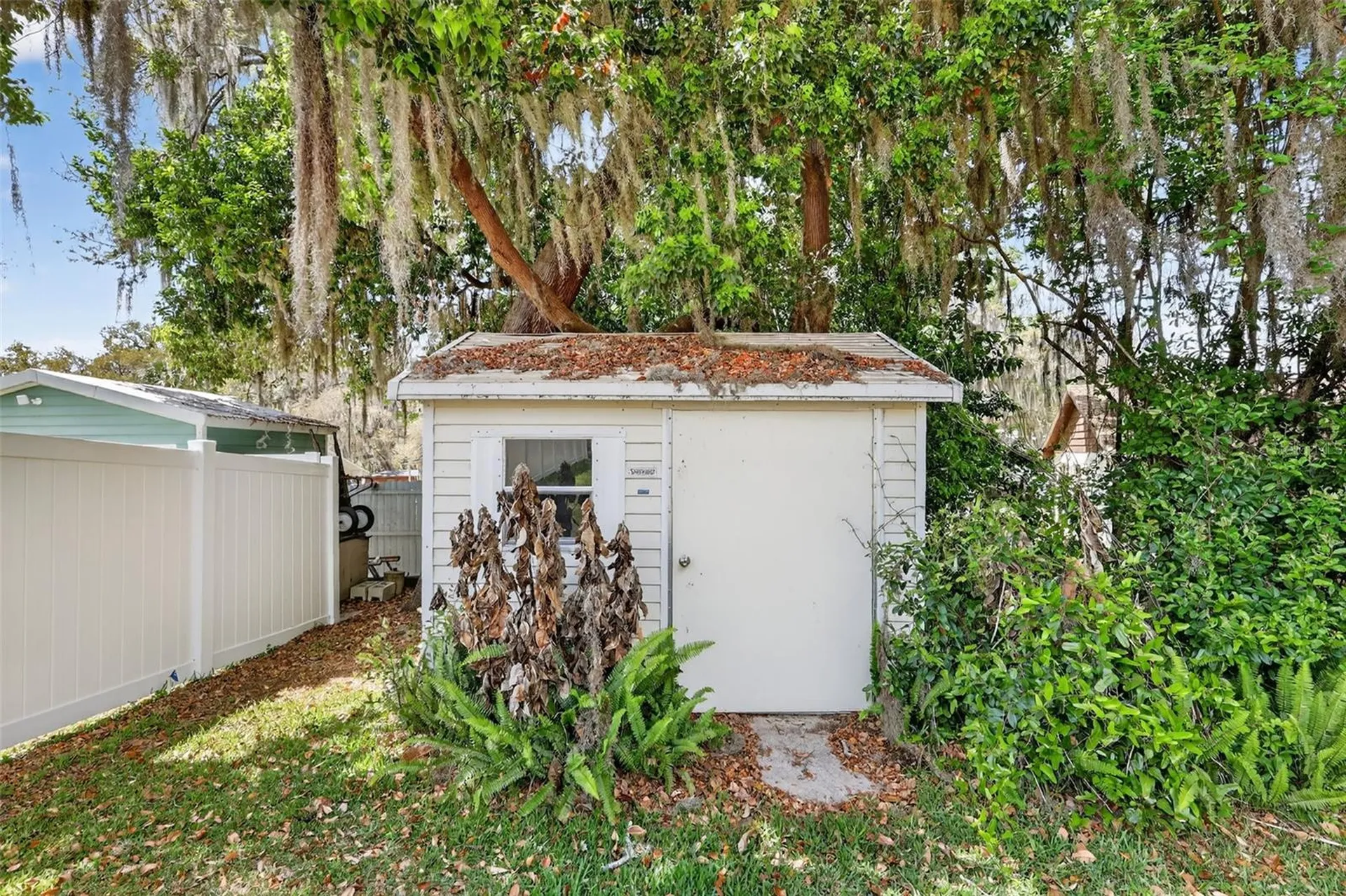 50 W Court Drive Eustis FL 32726