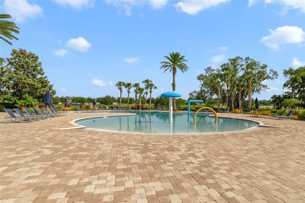 15113 White Wagtail Lane Winter Garden FL 34787