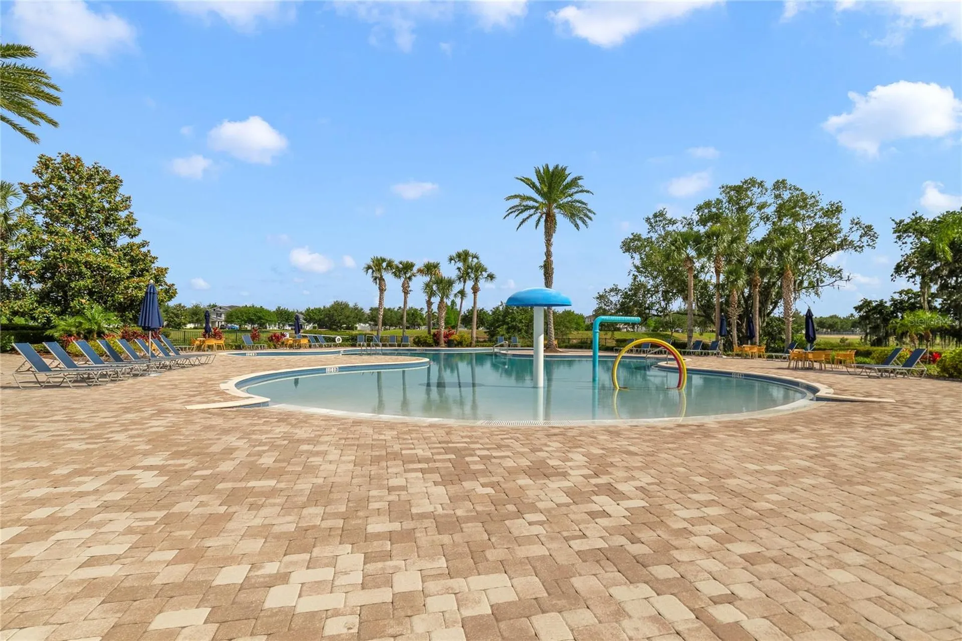 15113 White Wagtail Lane Winter Garden FL 34787