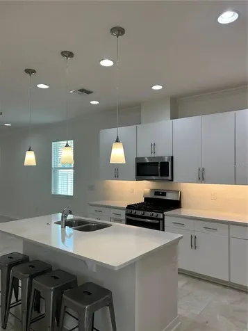 15113 White Wagtail Lane Winter Garden FL 34787