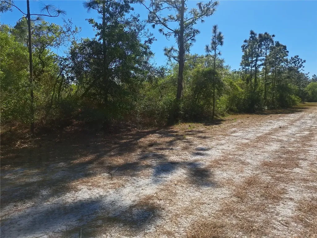 20 Avocado Drive Indian Lake Estates FL 33855