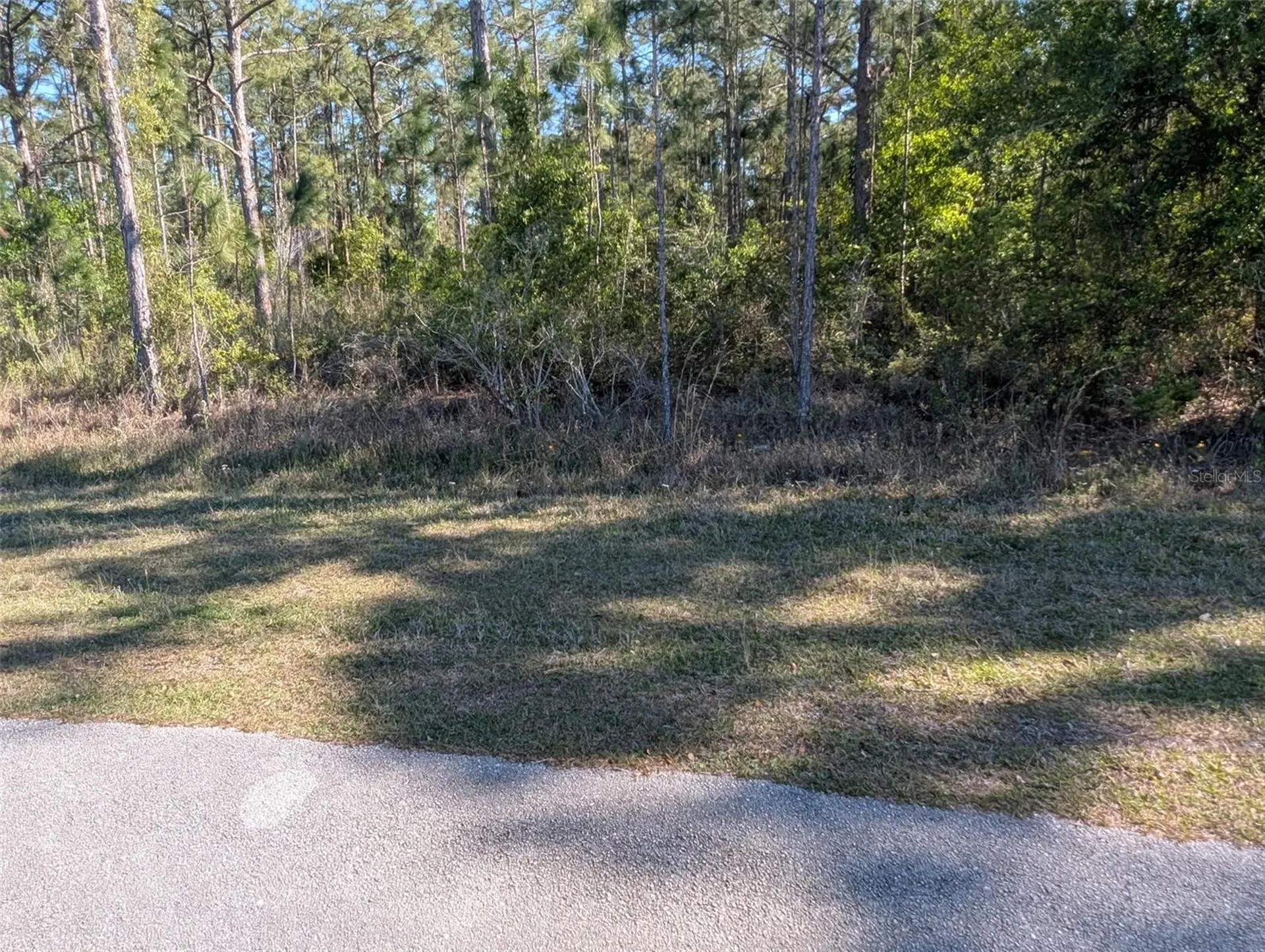 20 Avocado Drive Indian Lake Estates FL 33855