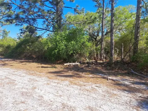 20 Avocado Drive Indian Lake Estates FL 33855