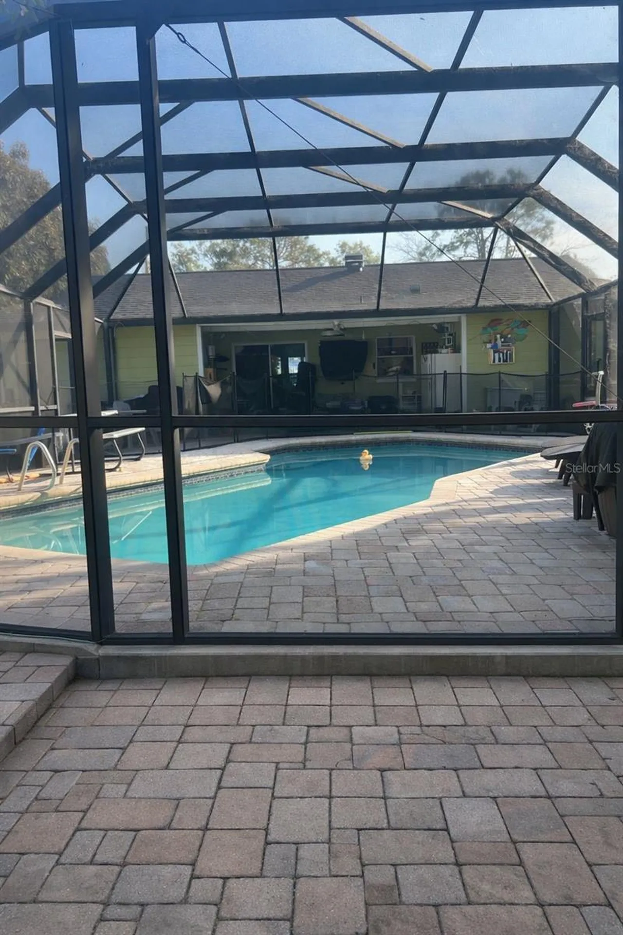 4912 E Serena Drive Tampa FL 33617