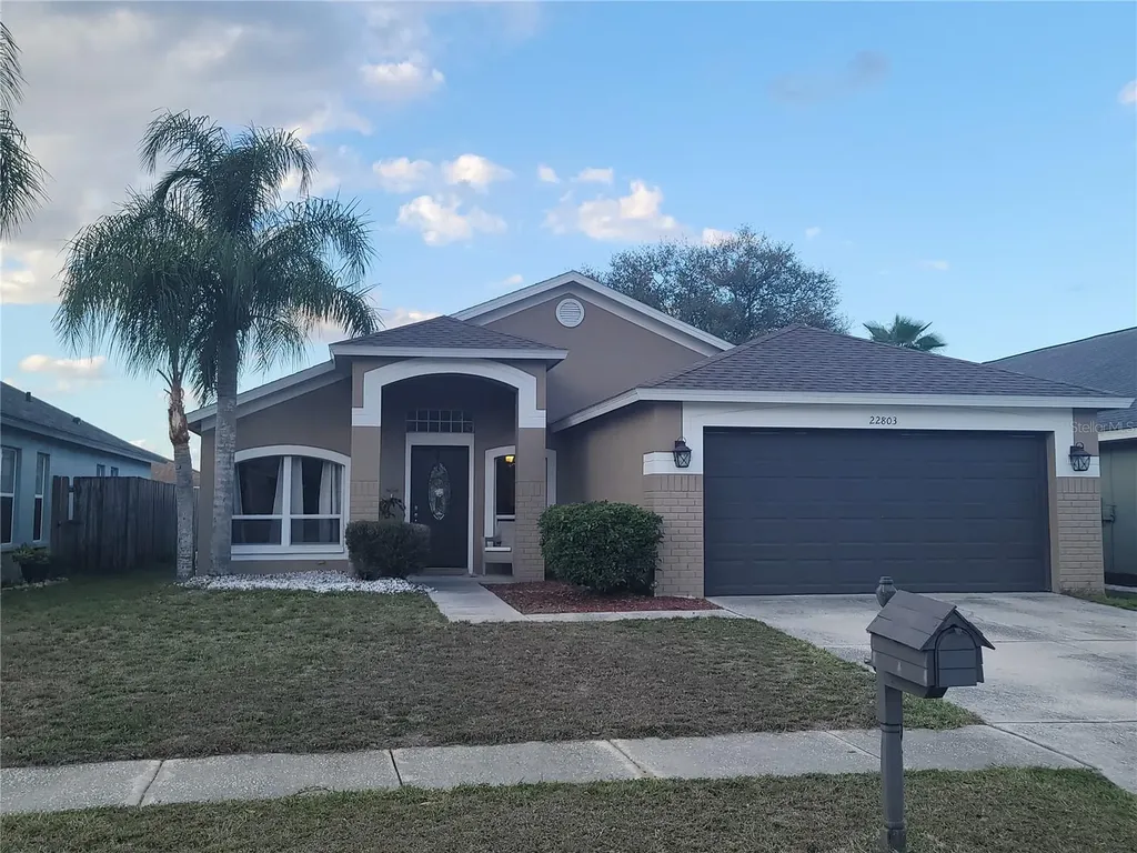 22803 Richardson Lane Land O Lakes FL 34639