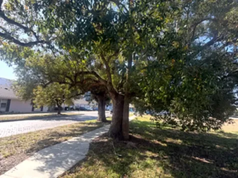 1802 N Mitchell Avenue Tampa FL 33602