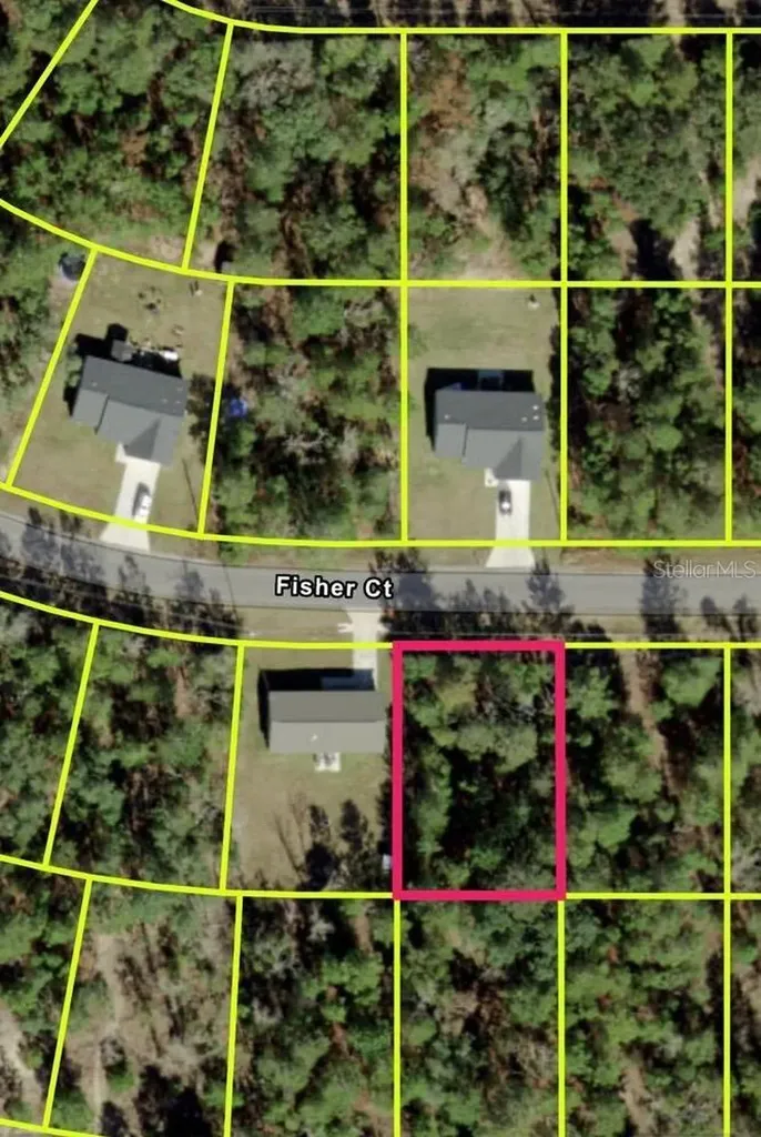 Fisher Court Ocklawaha FL 32179