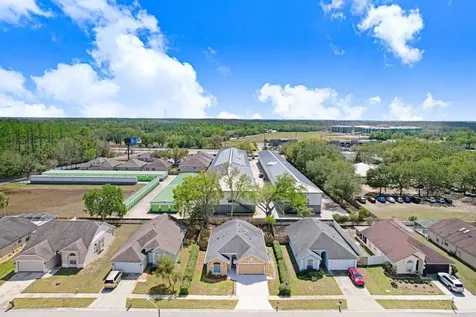 28912 Burke Mill Place Wesley Chapel FL 33545